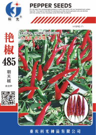 科光種苗“艷椒485”辣椒、“秋實(shí)1號(hào)”甘藍(lán)分別入選2025年農(nóng)業(yè)主導(dǎo)品種、農(nóng)作物優(yōu)良品種推廣目錄